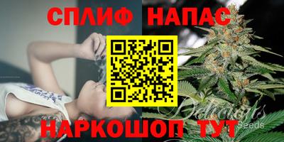 сатива Абинск