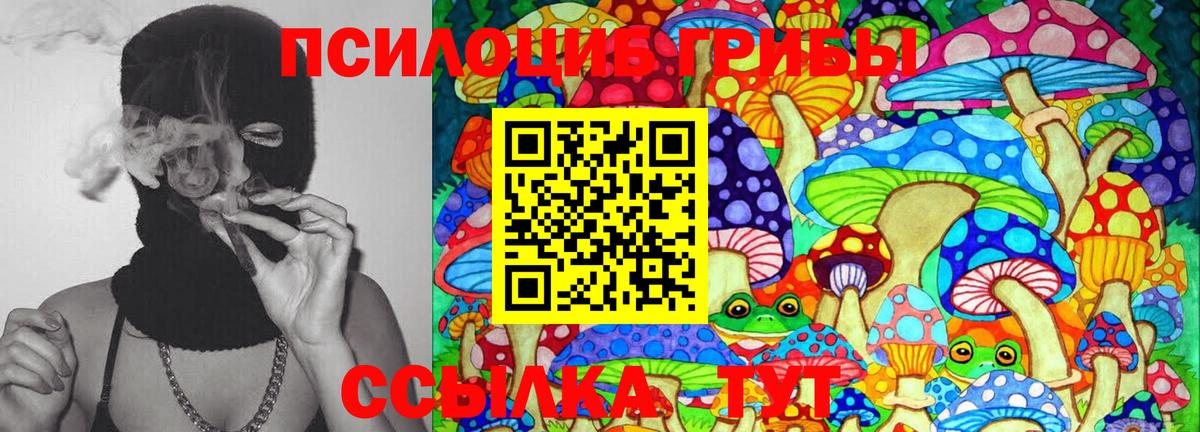 Галлюциногенные грибы Psilocybe Моздок