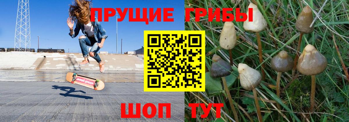 Галлюциногенные грибы Psilocybe  Вход с VPN  Моздок 