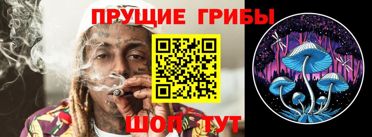 Галлюциногенные грибы GOLDEN TEACHER Моздок