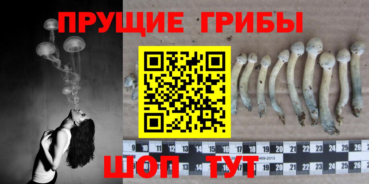 Галлюциногенные грибы Cubensis  сколько стоит  Моздок  Вход с VPN 